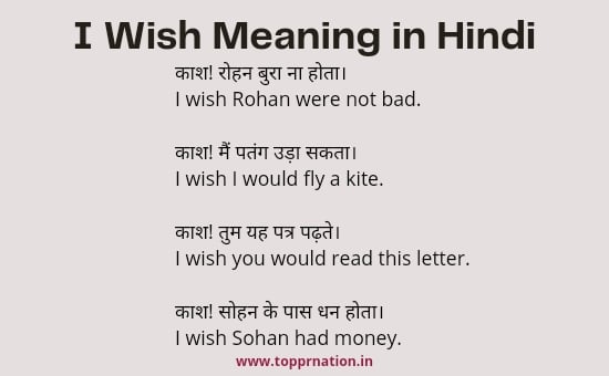 I Wish Meaning in Hindi with Rules and Examples
