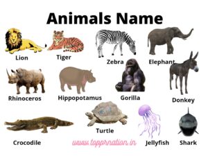 Animals Name in Hindi and English with Pictures (list of animals)
